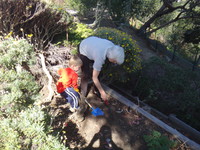 Planting with Oma