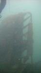 Wreck of a B-25 that was shot down during the battle for Kavieng Harbor.  The plane sank in shallow water in a Mangrove Swamp.  All but one crewmember survived.  As you can see, visibility was quite poor.