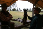 This is Phoebe the Kelpie and Alan the shepherd