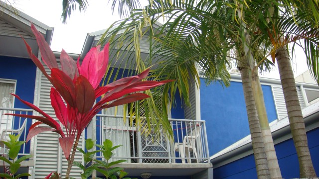 Our second Cairns abode - The Northern Greenhouse hostel/hotel