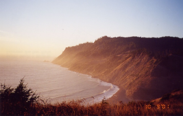 The Lost Coast.  Highway 1 ends and merges into 101.  Great hiking through here.  That's Usal beach below.