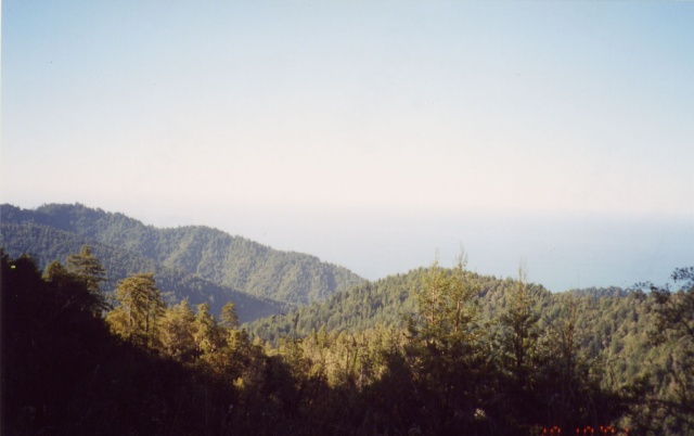 More views of the Lost Coast.  Easy to see why road engineers decided not to try and push Highway 1 through here.