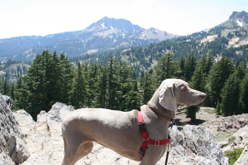 Although Brookie couldn't go on the trails with us, she was able to enjoy our post-hike relaxation