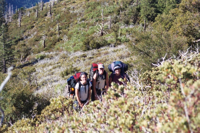 Sunday morning, mile 10, 3,500ft elevation - the beginning of the descent.