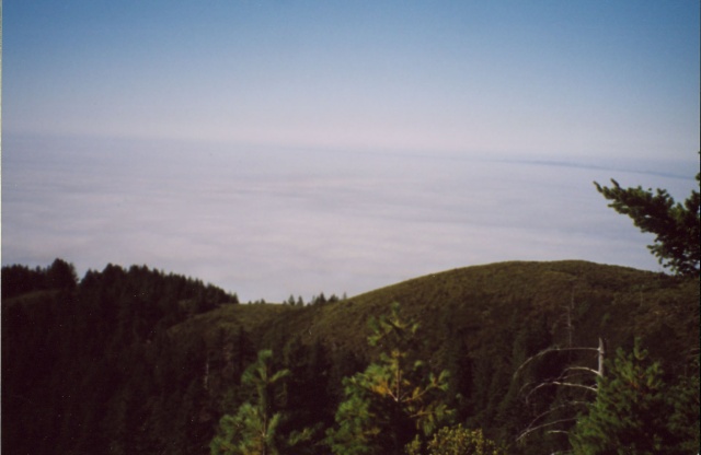 View West from near the top of Saddle Mountain