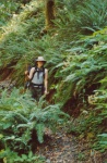 Kim hiking along Big Flat Creek