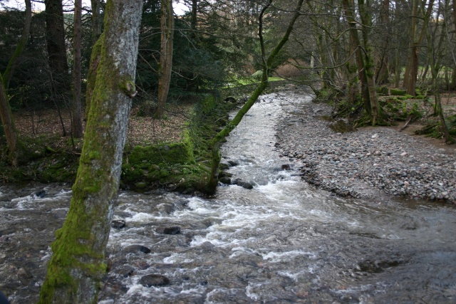 Stream serving the Famous Grouse.  Supposedly the water is what makes Scotch unique to Scotland.