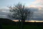 Lindisfarne cemetary