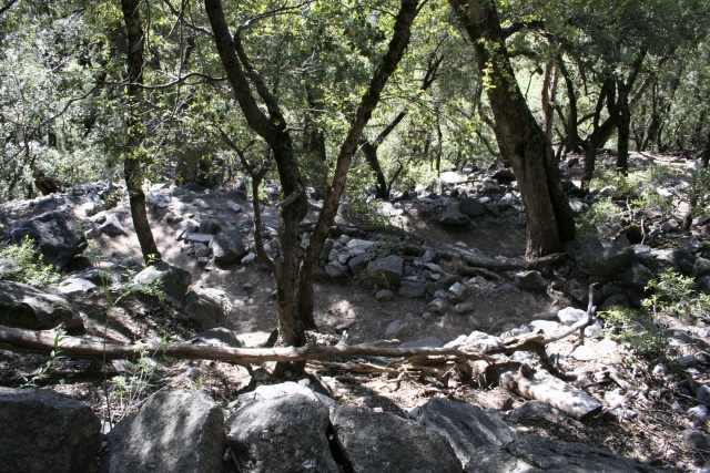 A shot of the switchbacks below us