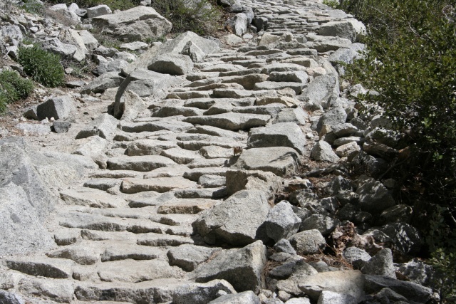 These steps were really nice going up.  Tough on your knees heading down.  If you look closely you'll see a chipmunk on the trail.